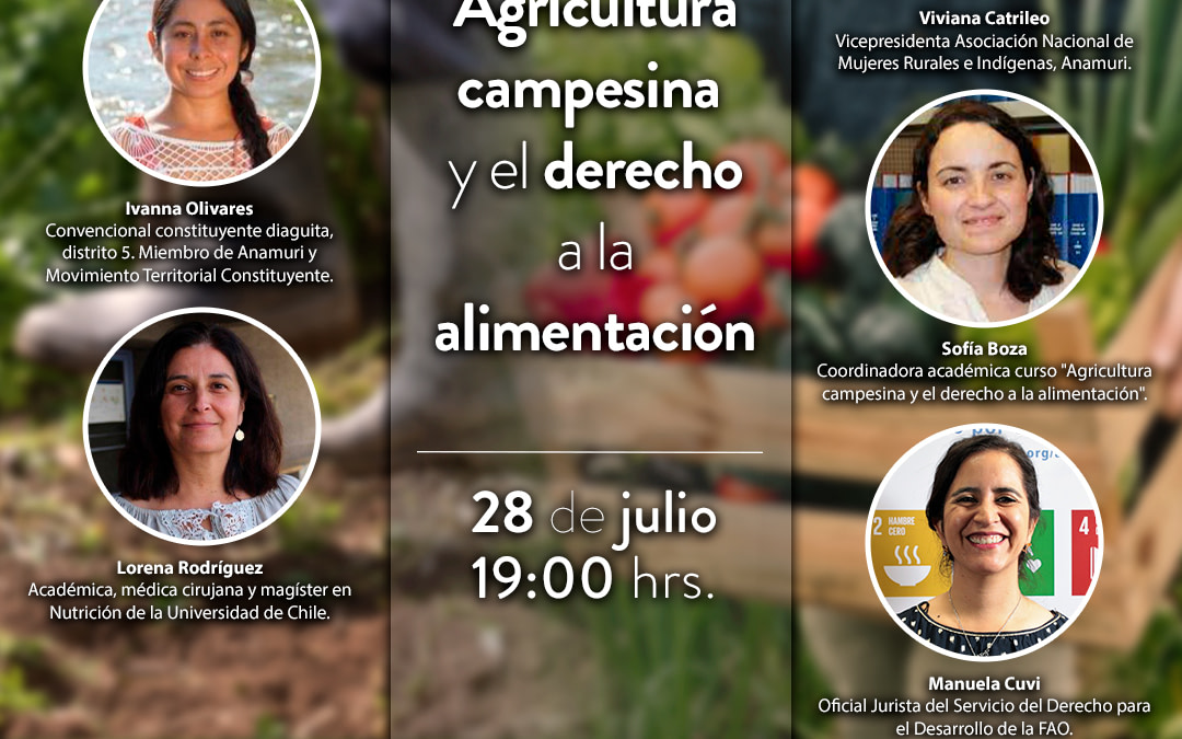 Soberanía alimentaria y derecho a la alimentación: Los temas que se abordaron en nuevo webinar de UAbierta UChile sobre agricultura campesina