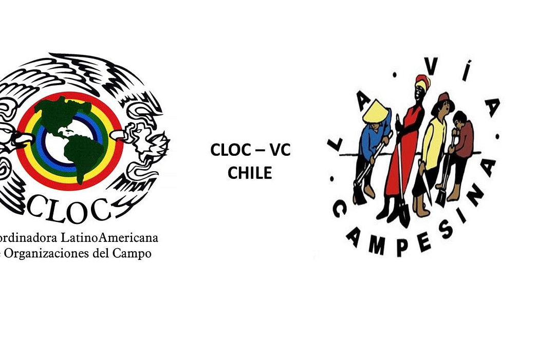 Declaración CLOC-Chile: 529 años por dignidad, resistencia indígena, negra y popular