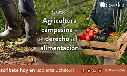 UAbierta UChile estrena nuevo curso sobre agricultura campesina y alimentación: abierto a Chile y América Latina