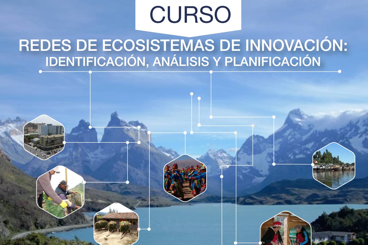 Curso «Redes de ecosistemas de innovación: Identificación, análisis y planificación».