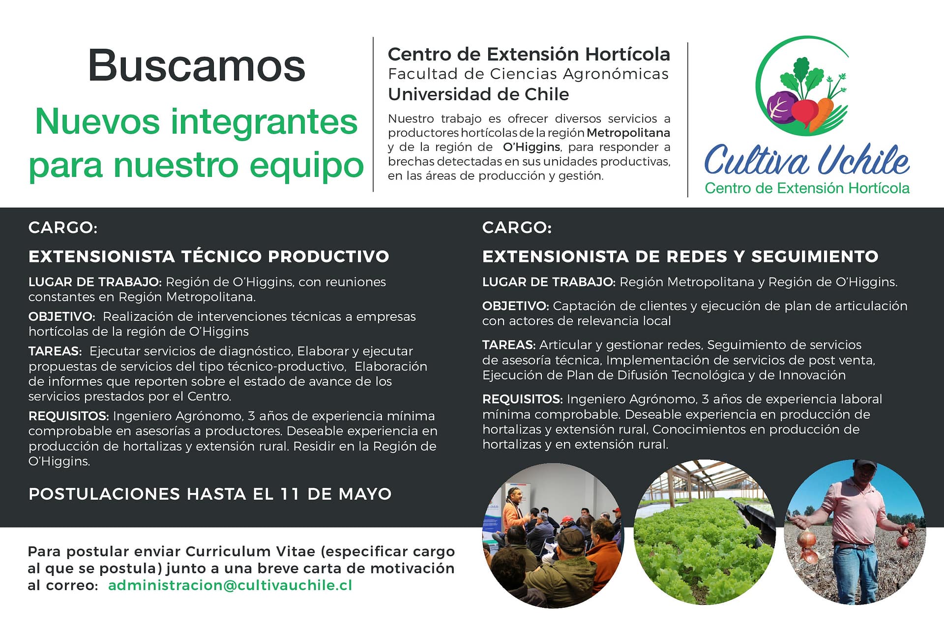 Buscamos Nuevos Integrantes para Cultiva Uchile